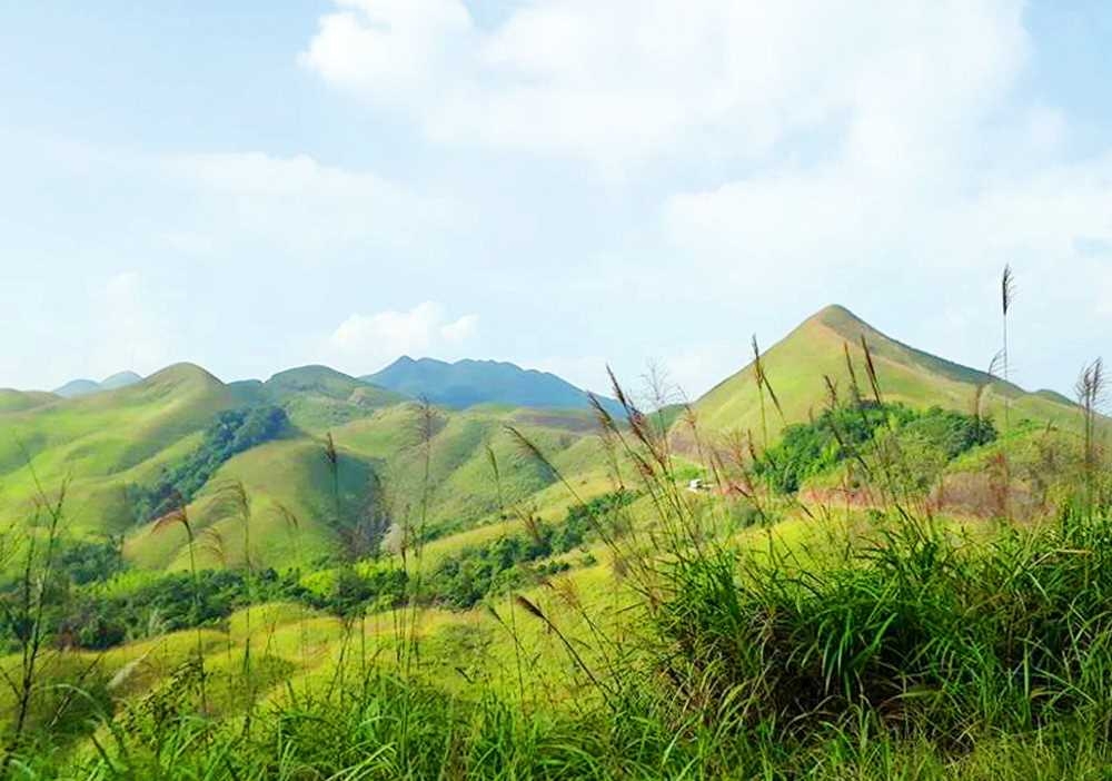 Mùa cỏ lau ở Bình Liêu