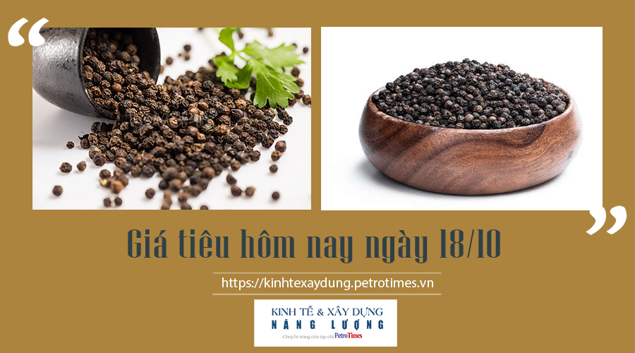 Giá tiêu hôm nay ngày 18/10: Giảm nhẹ khi chưa kịp cán mốc 90.000 đ/kg Giá tiêu hôm nay ngày 18/10: Giảm nhẹ khi chưa kịp cán mốc 90.000 đ/kg