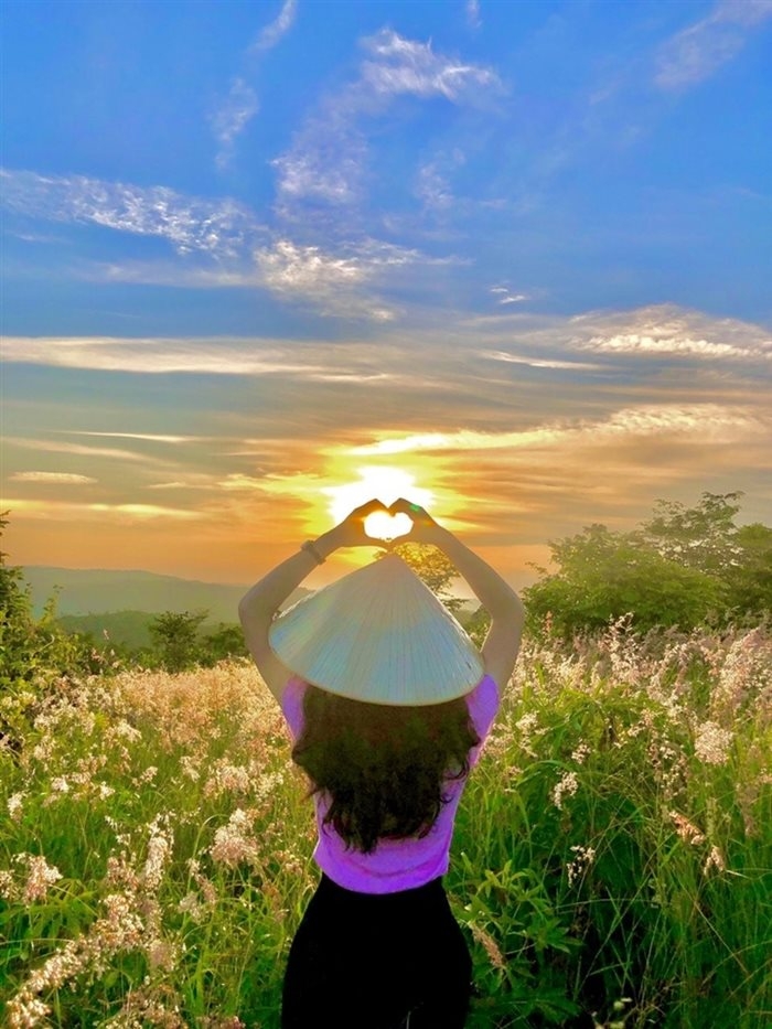 Gia Lai: Đồi cỏ hồng Chư Sê đẹp mơ màng nằm giữa núi rừng hút hồn du khách