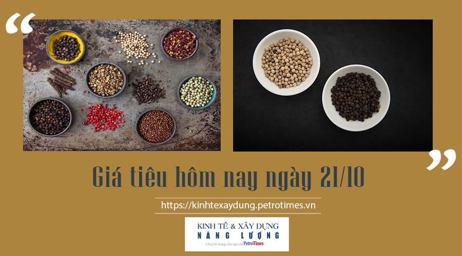 Giá tiêu hôm nay ngày 21/10: Tăng nhẹ, cao nhất 89.500 đ/kg Giá tiêu hôm nay ngày 21/10: Tăng nhẹ, cao nhất 89.500 đ/kg