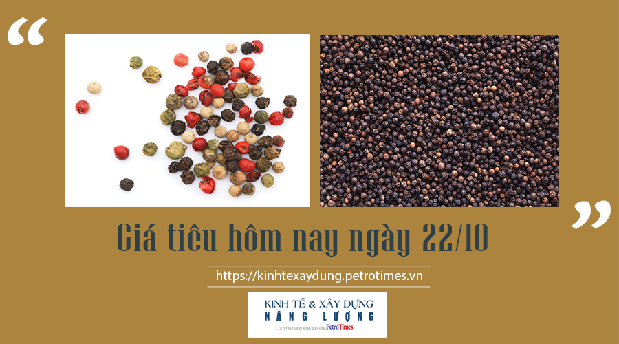 Giá tiêu hôm nay ngày 22/10: Giá tiêu hôm nay ngày 22/10: