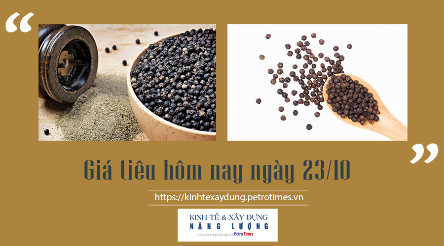 Giá tiêu hôm nay ngày 23/10: Trong nước tiếp tục giảm Giá tiêu hôm nay ngày 23/10: Trong nước tiếp tục giảm