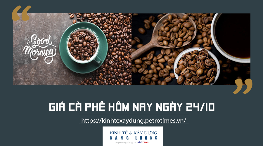 Giá cà phê hôm nay ngày 24/10: Duy trì đà tăng tại các vùng trọng điểm Giá cà phê hôm nay ngày 24/10: Duy trì đà tăng tại các vùng trọng điểm