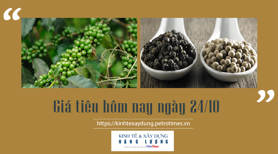 Giá tiêu hôm nay ngày 24/10: Cao nhất ở mức 87.500 đ/kg Giá tiêu hôm nay ngày 24/10: Cao nhất ở mức 87.500 đ/kg