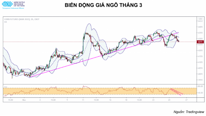 Giá ngô trên thế giới sẽ vẫn tiếp tục giảm nhẹ trong tuần tới