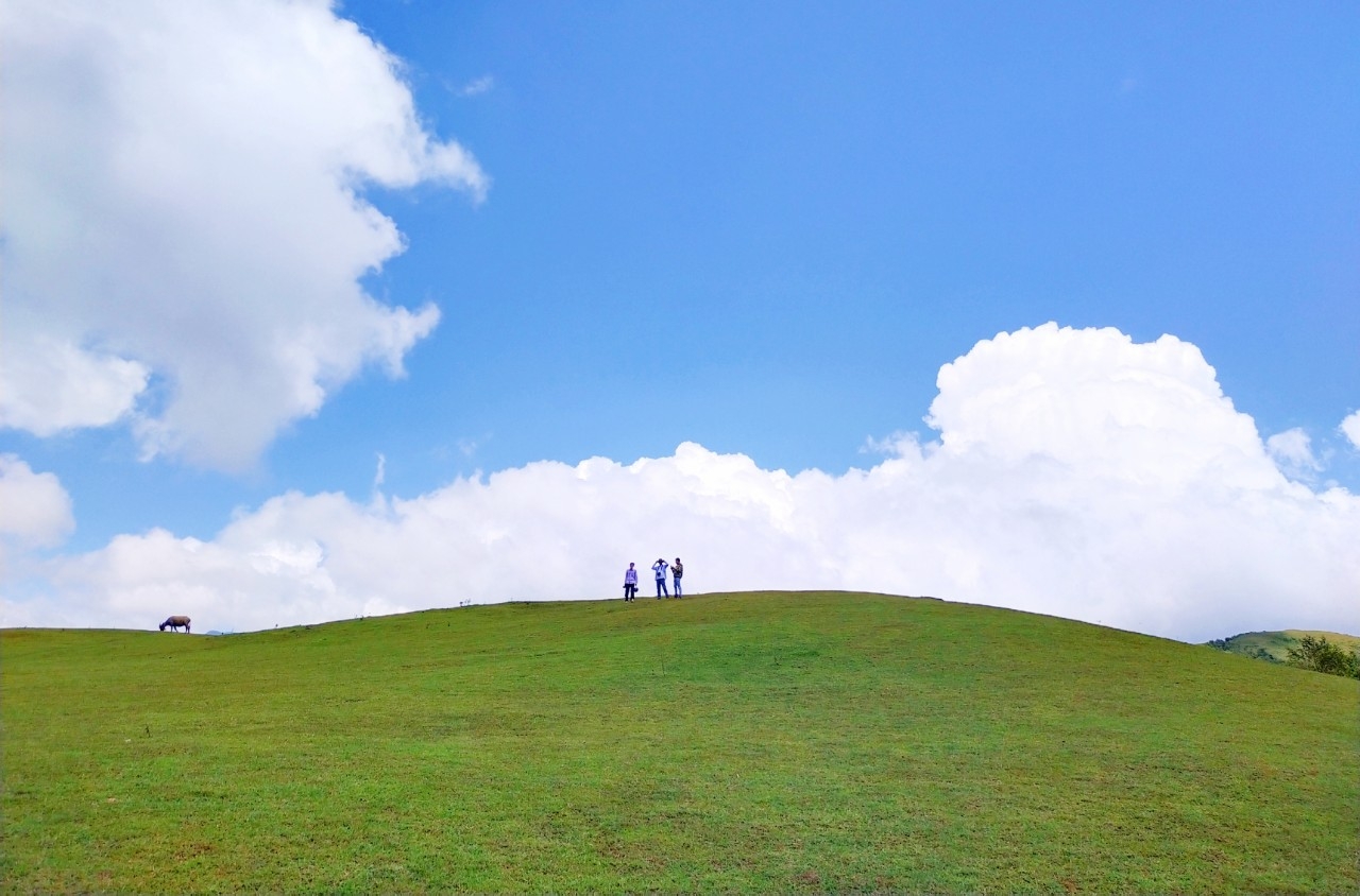 Thảo nguyên xanh bất tận tại Phan Thanh, Nguyên Bình