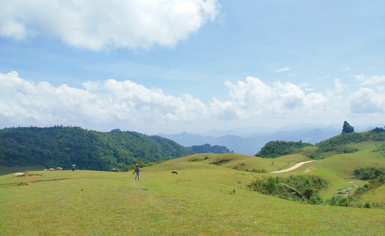 Thảo nguyên xanh bất tận tại Phan Thanh, Nguyên Bình