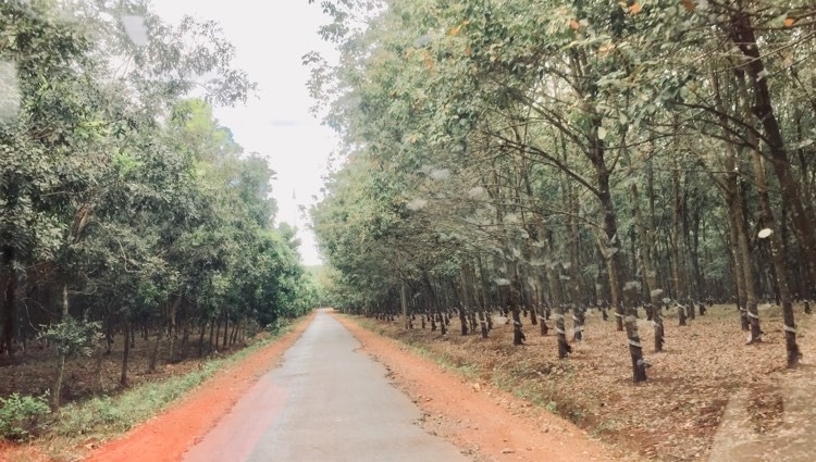 Lộc Ninh - Vùng đất biên giới Tây Nam giàu bản sắc