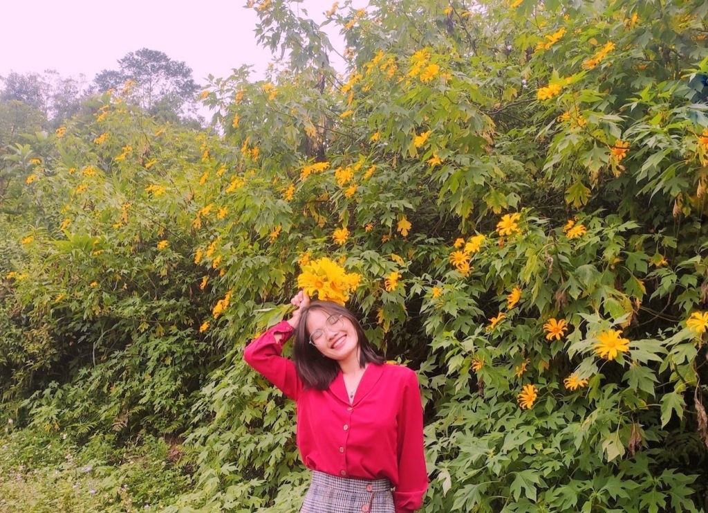 Dã quỳ “nhuộm” vàng khắp núi rừng Tây Bắc