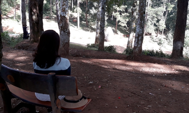 Đồi thông Eo Gió - Điểm đến hòa mình vào thiên nhiên