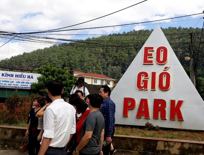 Đồi thông Eo Gió - Điểm đến hòa mình vào thiên nhiên