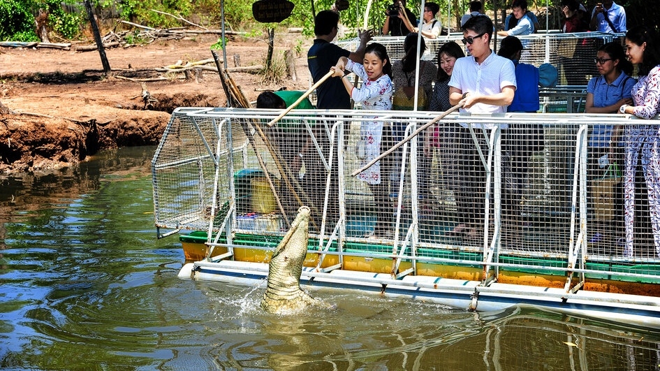 Khám phá Cần Giờ: 6 trải nghiệm không thể bỏ qua