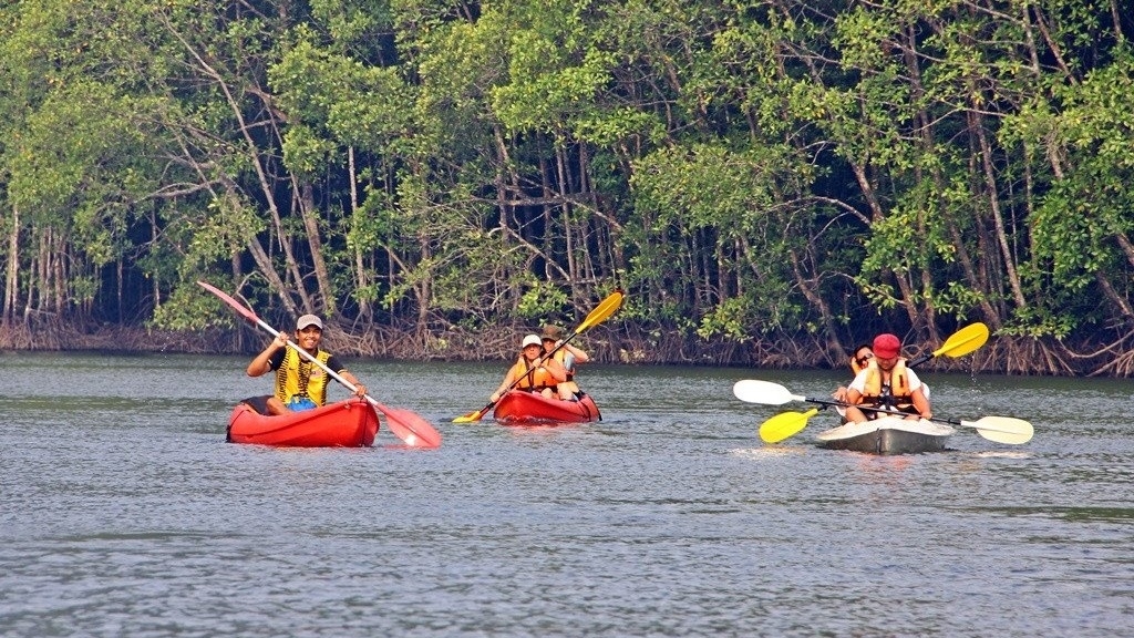 Khám phá Cần Giờ: 6 trải nghiệm không thể bỏ qua