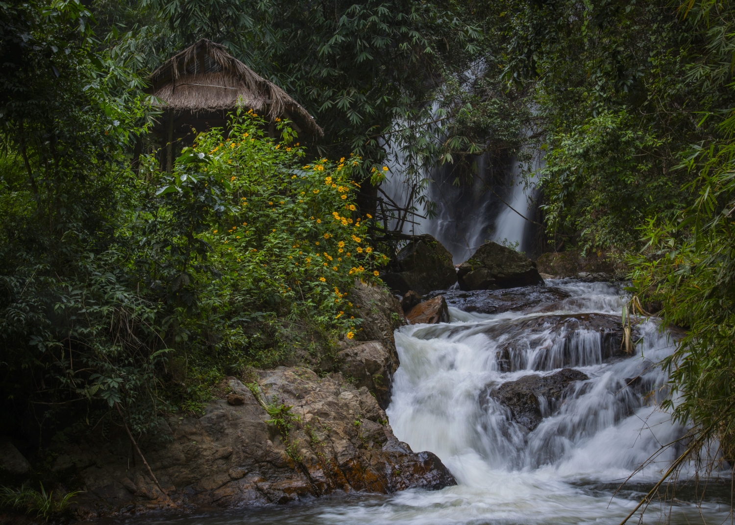 Trải nghiệm Tu Mơ Rông