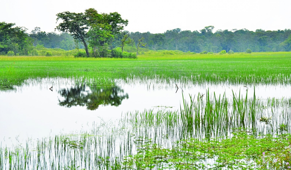 Những điểm du lịch xanh vùng Đông Nam bộ