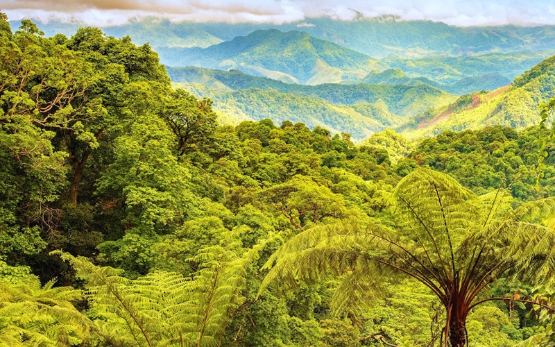 Phong Nha - Kẻ Bàng: Một trong 39 điểm đến năm 2022