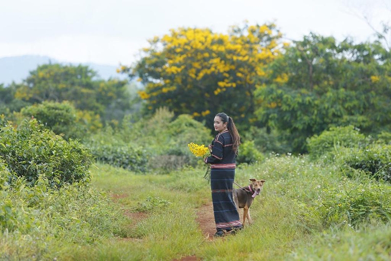 Những điểm đến “gần nhà” lý tưởng cho dịp Tết Dương lịch