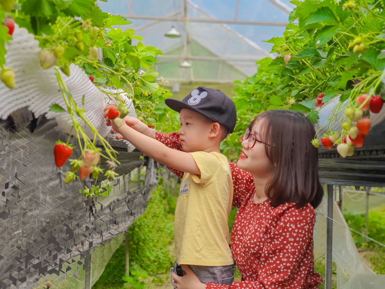 Khám phá bản Tả Phìn