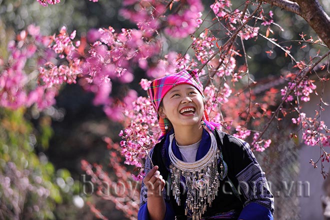 Mù Cang Chải: Tớ Dày nhuộm thắm non cao