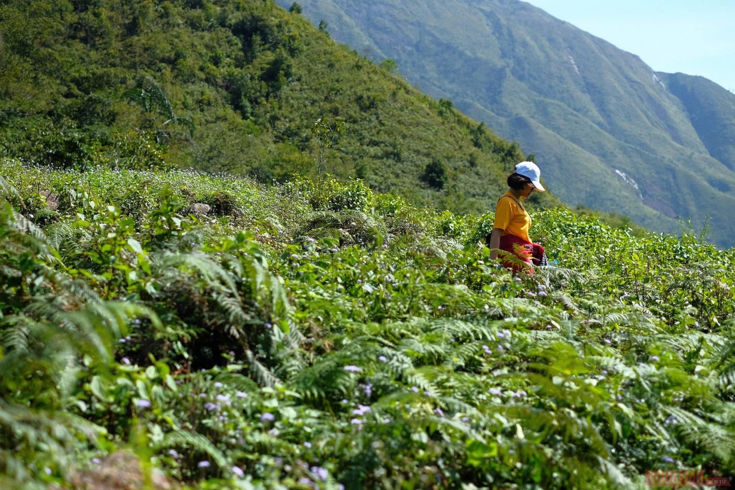 Tà Chì Nhù, cung đường chinh phục nóc nhà Yên Bái