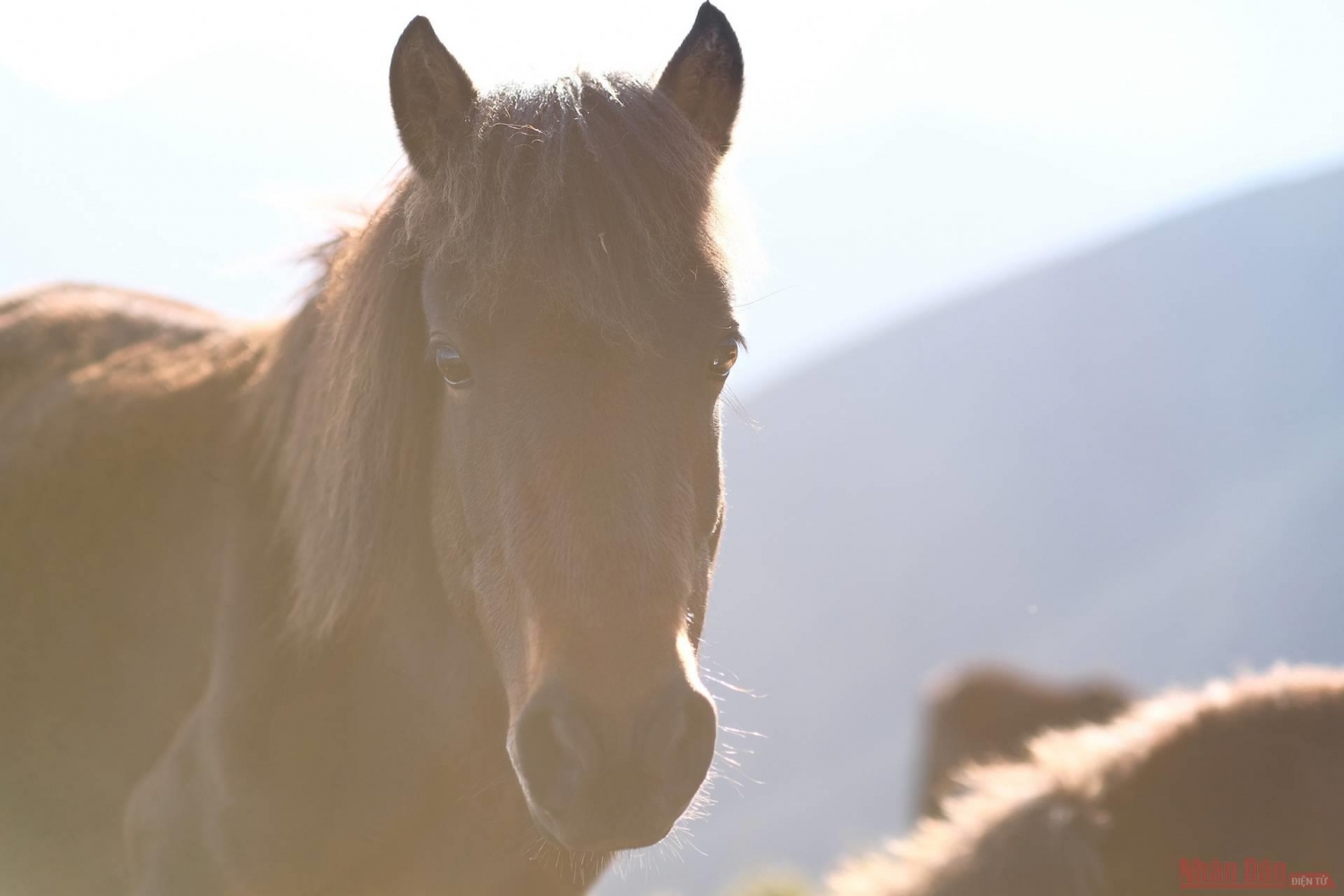Tà Chì Nhù, cung đường chinh phục nóc nhà Yên Bái