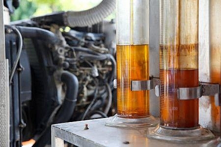 Eni giúp Kenya phát triển năng lượng sinh học