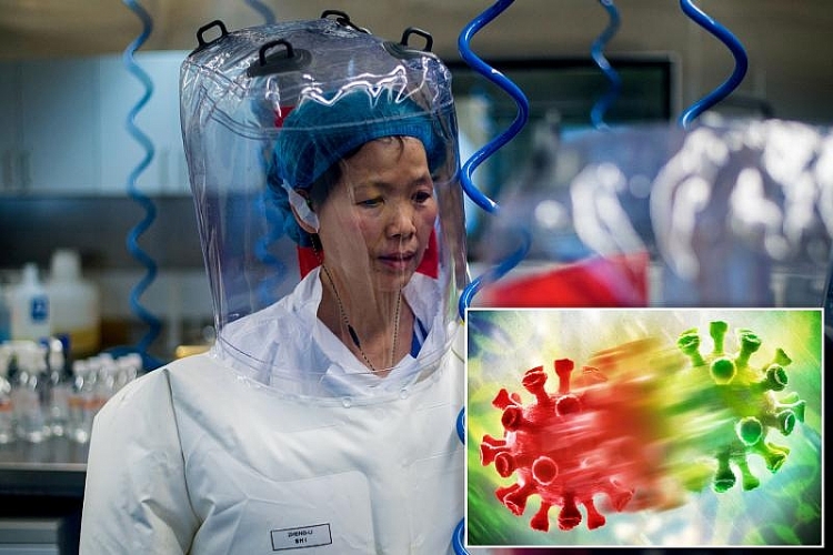 Tình báo Mỹ tìm cách moi thông tin về nguồn gốc Covid-19 từ giới khoa học Trung Quốc
