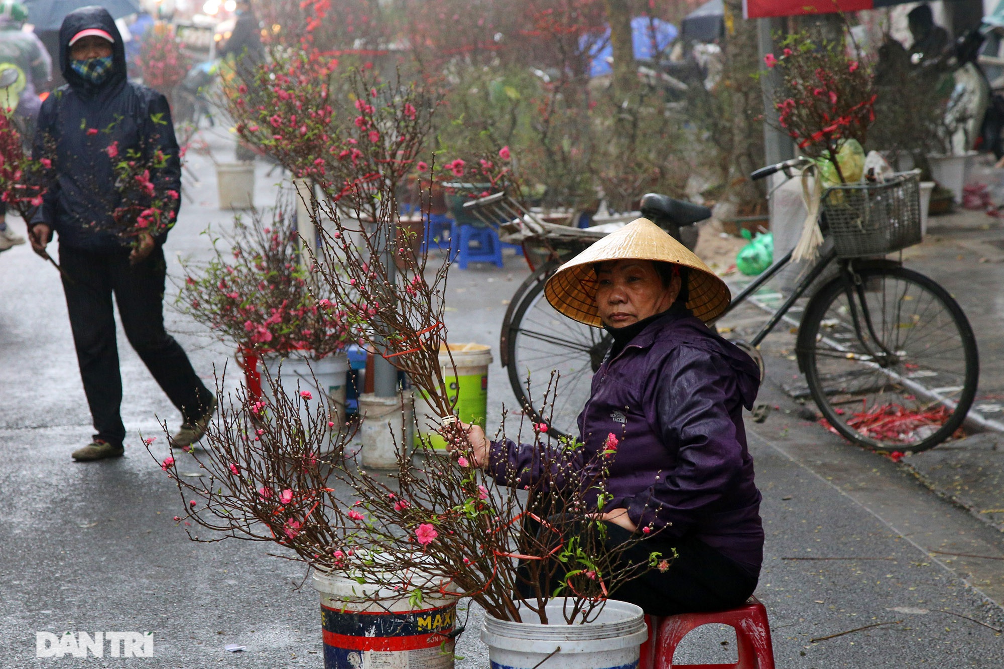Chợ hoa chợ Tết ở Hà Nội hiu hắt vì dịch Covid-19 - 5