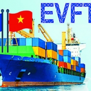 Bức tranh môi trường kinh doanh Việt Nam dưới góc nhìn của doanh nghiệp châu Âu