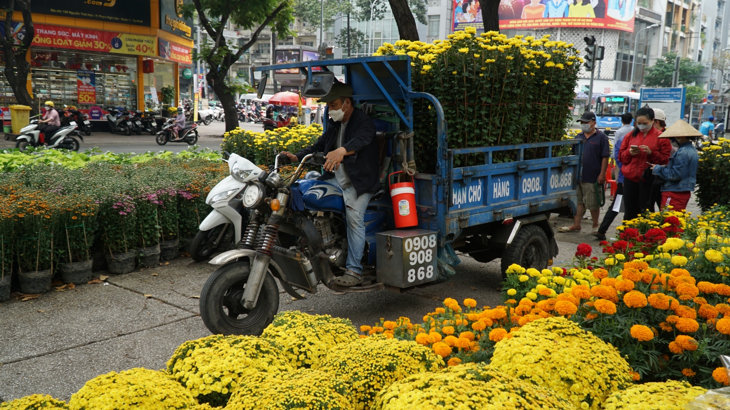 Rực rỡ chợ hoa xuân Sài Gòn vào vụ