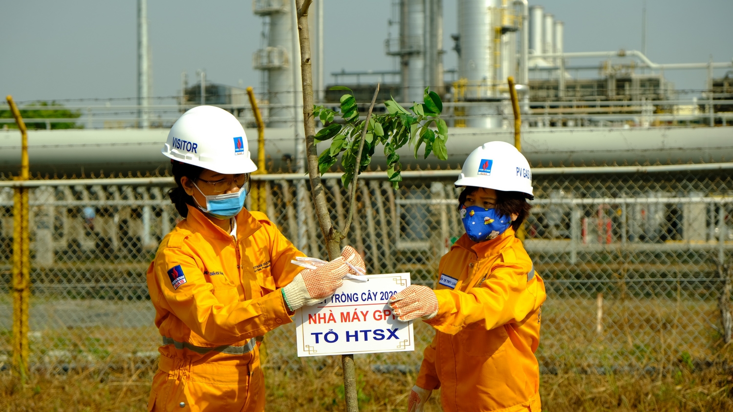kvt to chuc tet trong cay tai nha may xu ly khi dinh co