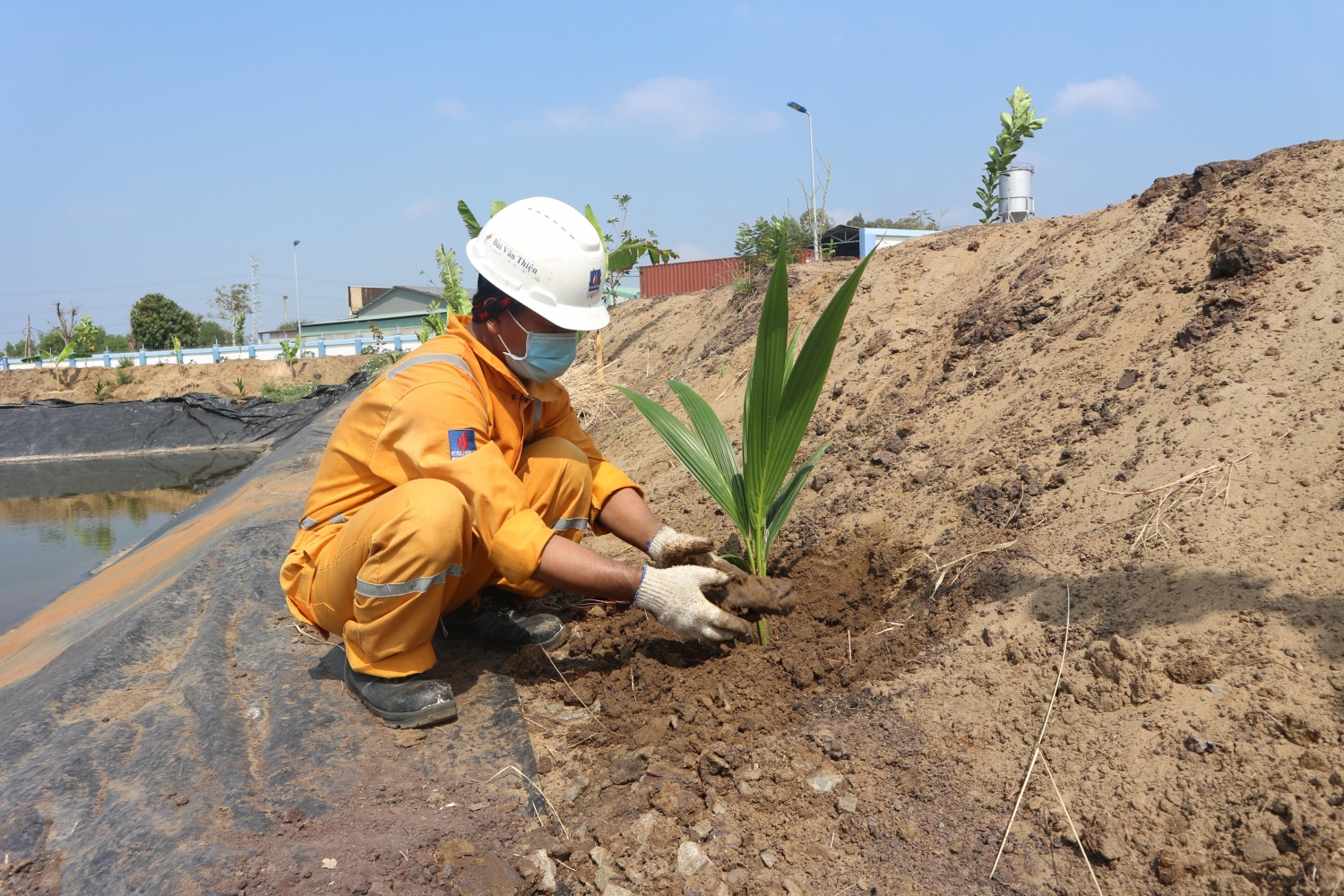 KĐN phát động đợt 2 chương trình trồng cây “Chung tay vì màu xanh trên công trình khí”