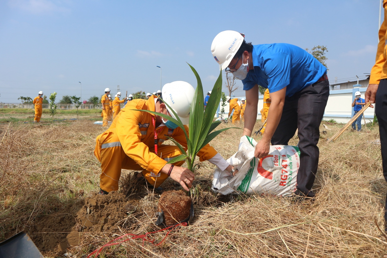 KĐN phát động đợt 2 chương trình trồng cây “Chung tay vì màu xanh trên công trình khí”