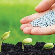 Cổ phiếu ngành phân bón liên tục phá đỉnh trong bối cảnh giá phân bón lên cao