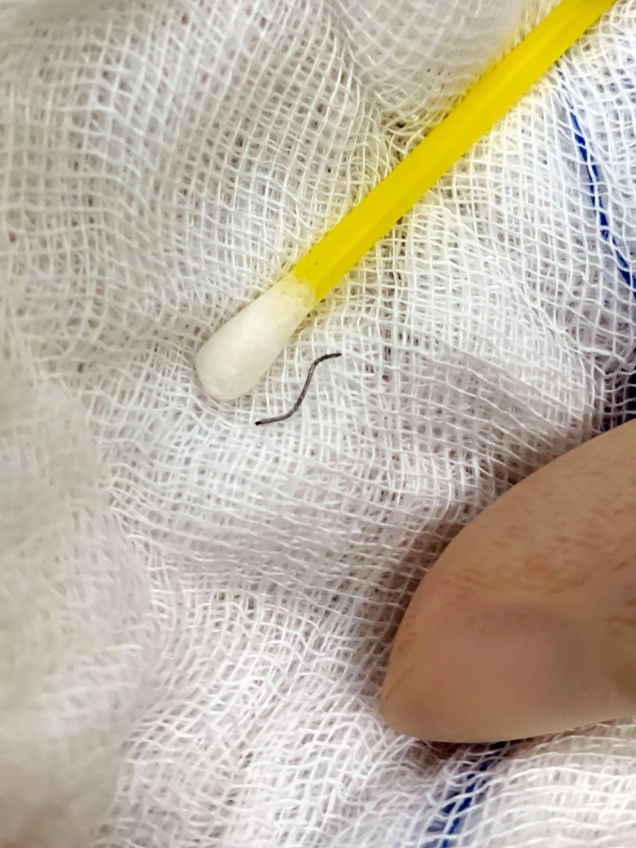 5131-121685739-1765589980274836-9103319336115046431-o