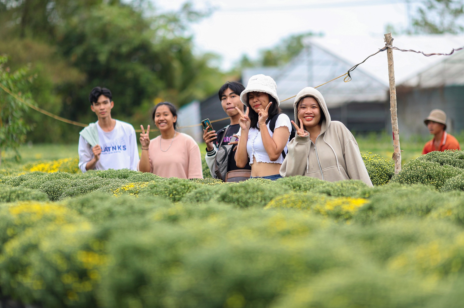 Nông dân làng hoa Sa Đéc tất bật bên ruộng cúc mâm xôi những ngày giáp Tết - 11