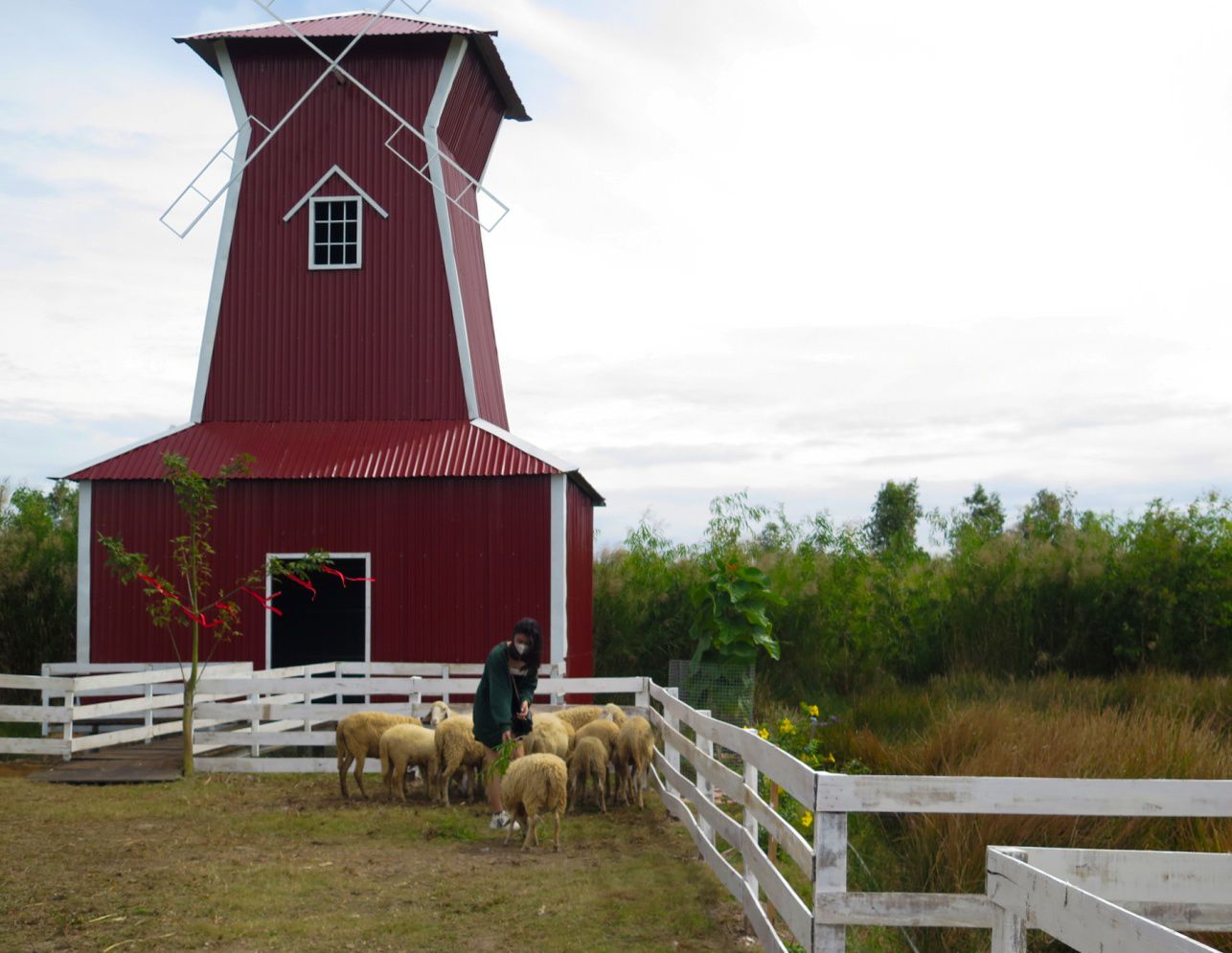 Cà Mau: Đẩy mạnh thu hút du lịch sinh thái dưới tán rừng