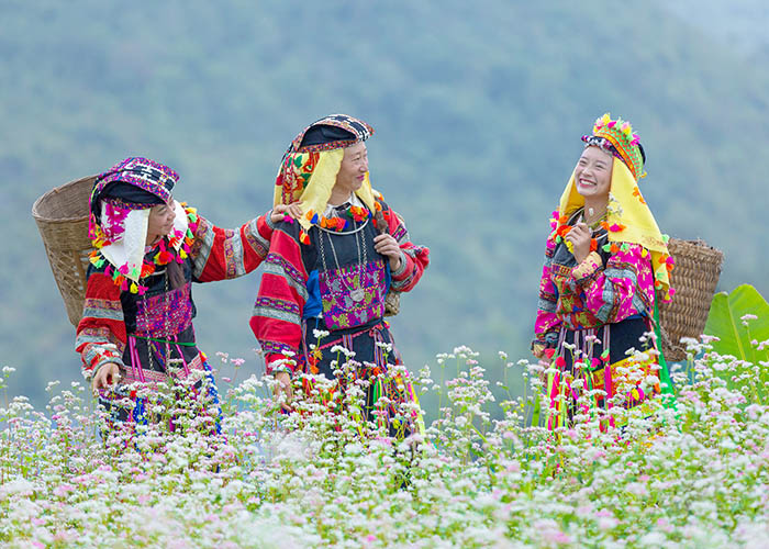 Cao nguyên đá Đồng Văn - Miền đất gây thương nhớ