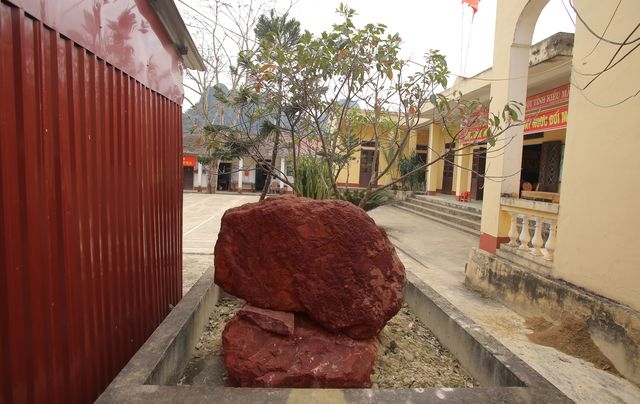 ky dieu loai da do dung lam la co to quoc trong lang bac ho