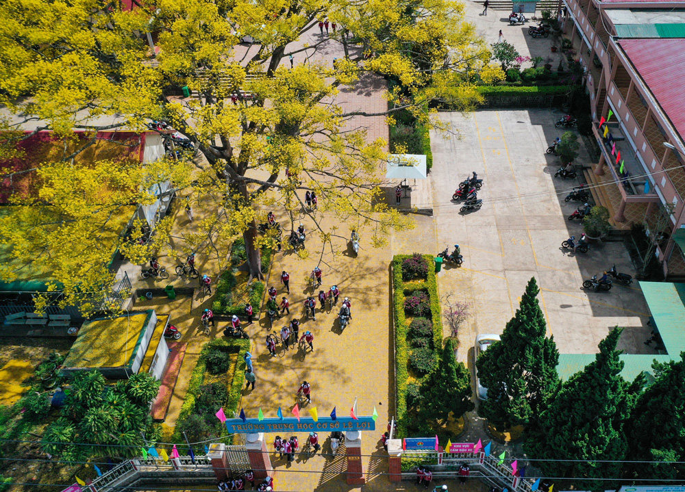 Lên cao nguyên ngắm phượng vàng Lên cao nguyên ngắm phượng vàng