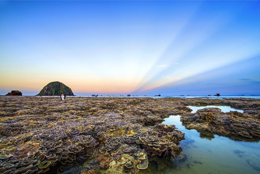 Hòn Yến - Thiên đường san hô trên cạn Hòn Yến Thiên đường san hô trên cạn