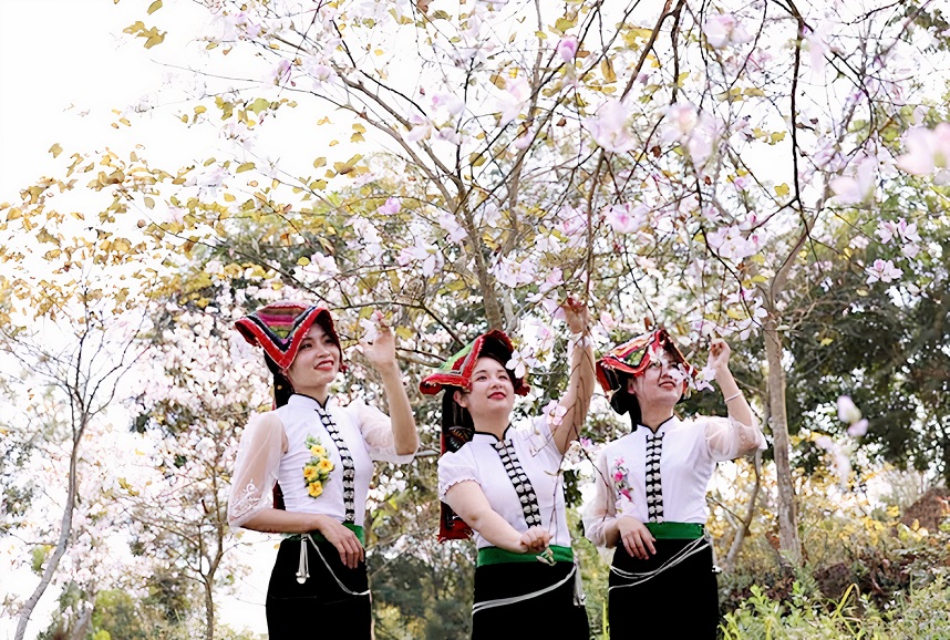 Yên Bái: Tháng Ba Nghĩa Lộ, trắng trời hoa ban Yên Bái: Tháng Ba Nghĩa Lộ, trắng trời hoa ban