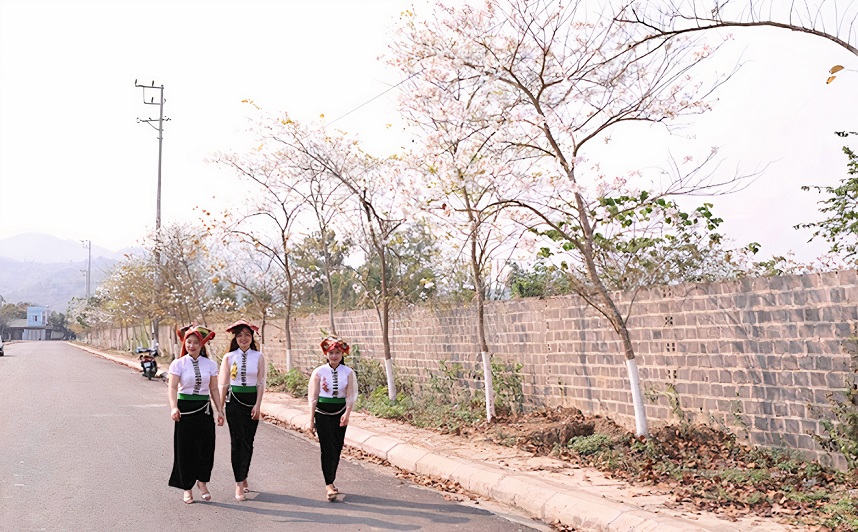 Yên Bái: Tháng Ba Nghĩa Lộ, trắng trời hoa ban Yên Bái: Tháng Ba Nghĩa Lộ, trắng trời hoa ban