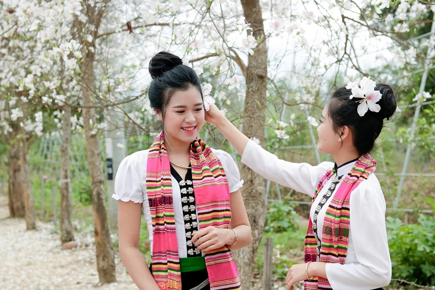 Yên Bái: Tháng Ba Nghĩa Lộ, trắng trời hoa ban Yên Bái: Tháng Ba Nghĩa Lộ, trắng trời hoa ban