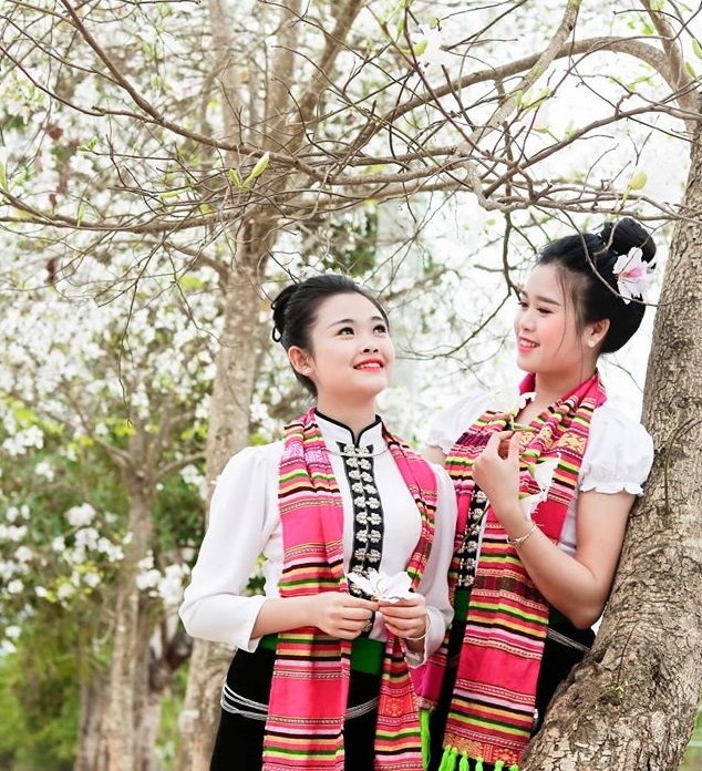 Yên Bái: Tháng Ba Nghĩa Lộ, trắng trời hoa ban Yên Bái: Tháng Ba Nghĩa Lộ, trắng trời hoa ban