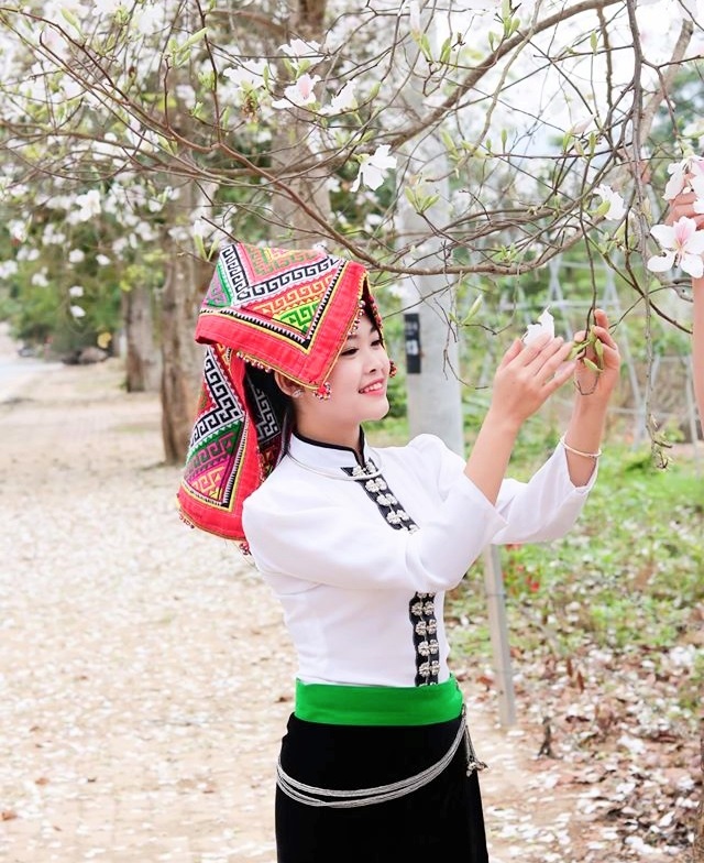 Yên Bái: Tháng Ba Nghĩa Lộ, trắng trời hoa ban Yên Bái: Tháng Ba Nghĩa Lộ, trắng trời hoa ban