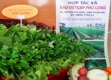 Chiến lược phát triển kinh tế tập thể, hợp tác xã tỉnh Bình Thuận đến năm 2030