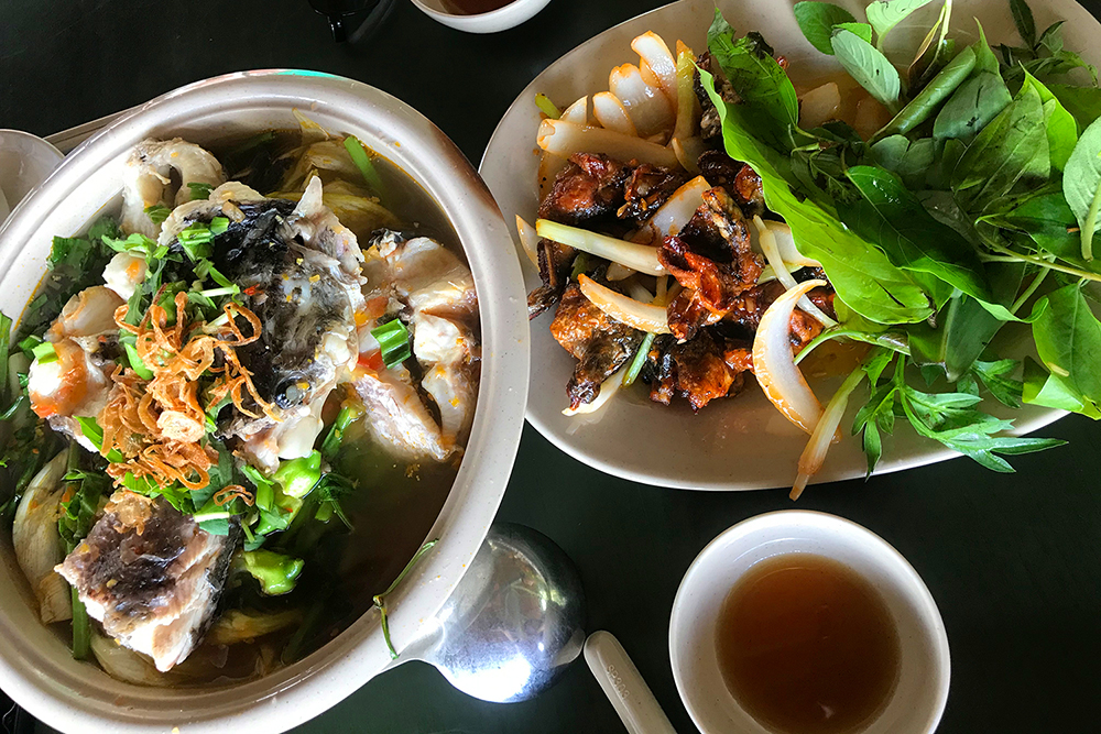 Về Làng nổi Tân Lập - Check-in “đường xuyên rừng tràm đẹp nhất Việt Nam” Về Làng nổi Tân Lập - Check-in “đường xuyên rừng tràm đẹp nhất Việt Nam”