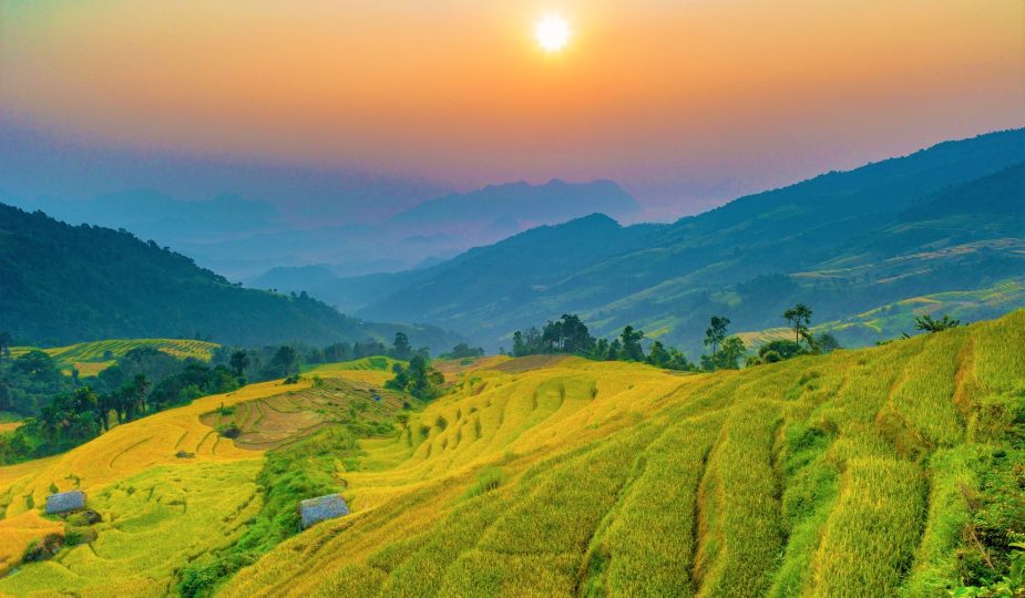 Mùa gặt ở Phương Độ - Hà Giang