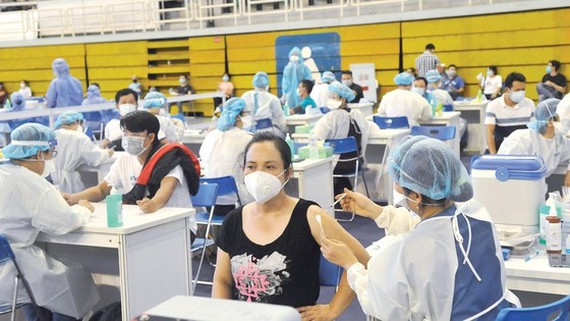 TP HCM: Đã ghi nhận một số tín hiệu đáng mừng